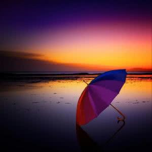 立志中野80评分